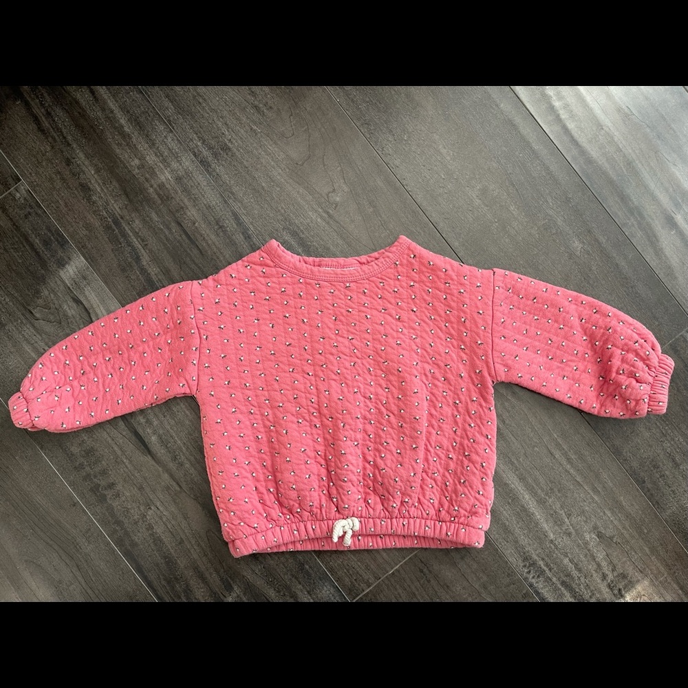 Zara toddler sweatshirt
